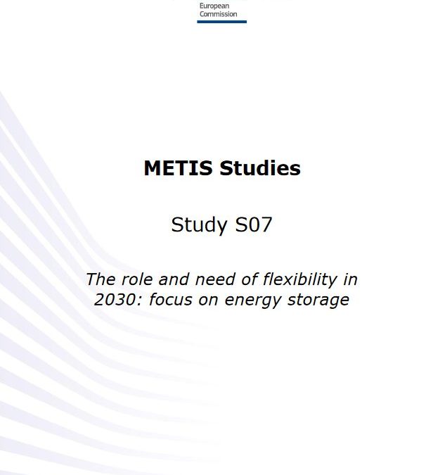 The role and need of flexibility in 2030: focus on energy storage