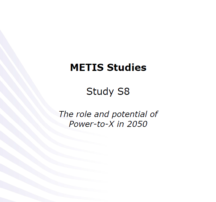 The role and potential of power-to-X in 2050