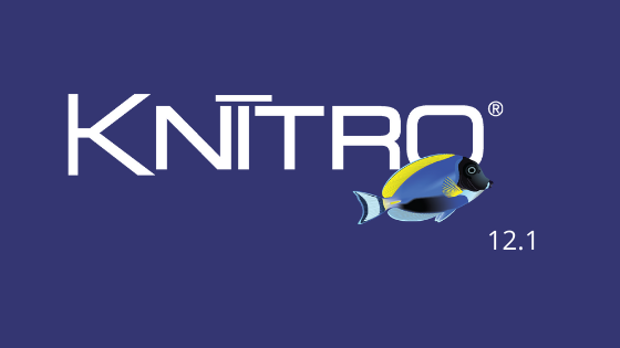 Artelys Knitro 12.1: génération de coupes dérivées de contraintes non linéaires !