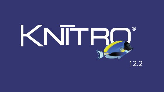 Artelys Knitro 12.2: solve your nonlinear problems faster than ever!