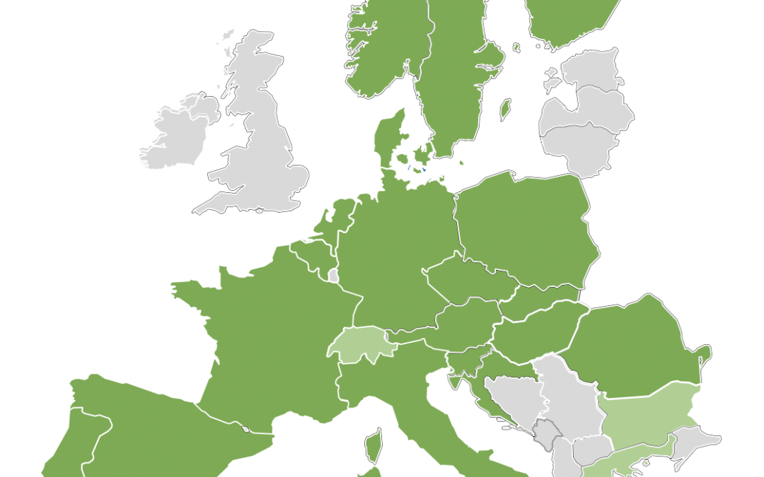 Artelys participe à la conception de l’algorithme européen de clearing du marché aFRR