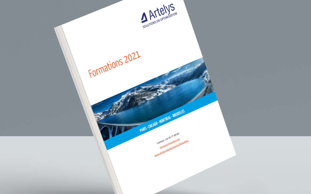 Publication du catalogue 2021 des formations Artelys
