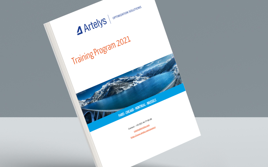 Publication of the 2021 Artelys training program