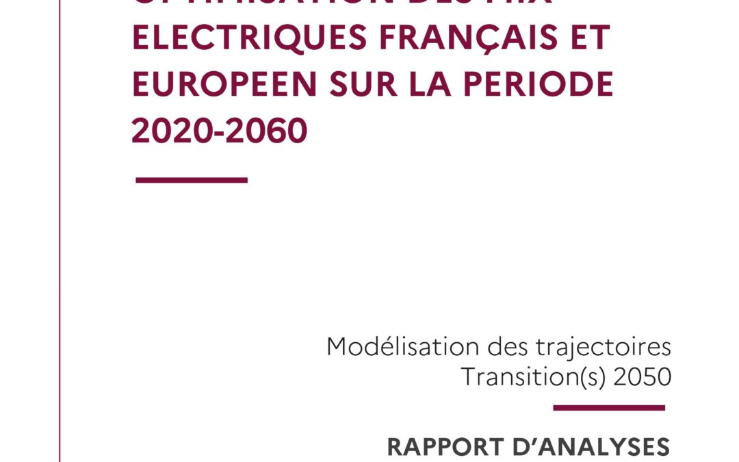 Modélisation et optimisation des mix électriques français et européen sur la période 2020-2060