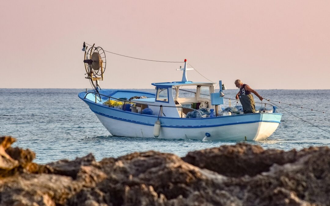 Sélection des méthodes de capture et recrutement stochastique dans les modèles économiques de la pêche