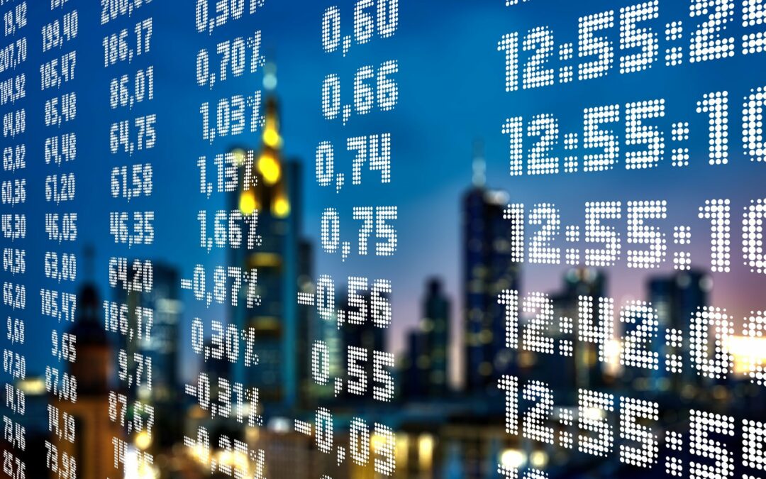 Optimisation sans dérivé utilisée en macro-économie