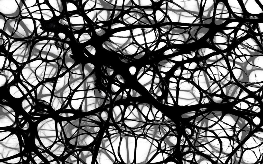Optimisation globale de fonctions à faible dimensionnalité effective au moyen d’embeddings aléatoires