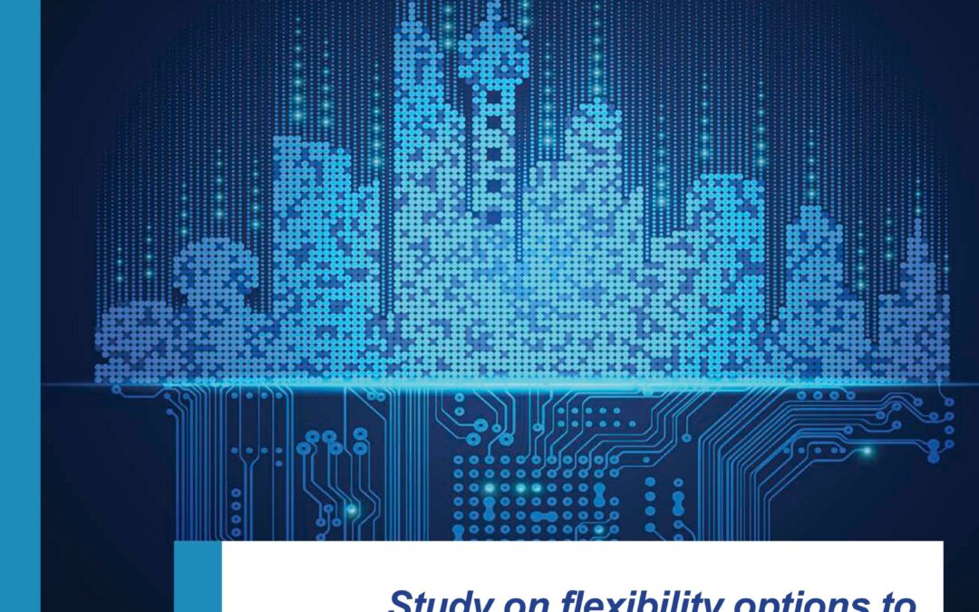 Etude portant sur les moyens de flexibilité visant à soutenir la décarbonation des pays membres d’Energy Community