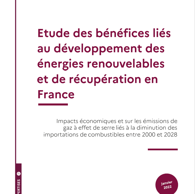 Study of the benefits linked to the development of renewable energies in France