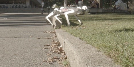 robot quadrupède qui saute sur un trottoir.