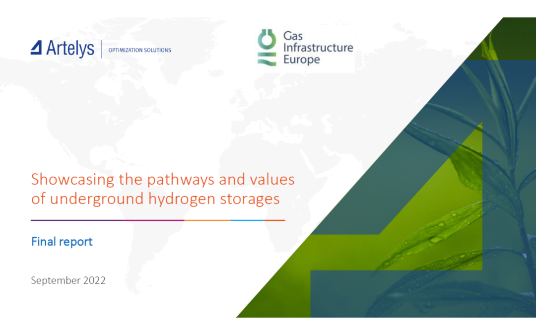 Showcasing the pathways and values of underground hydrogen storages