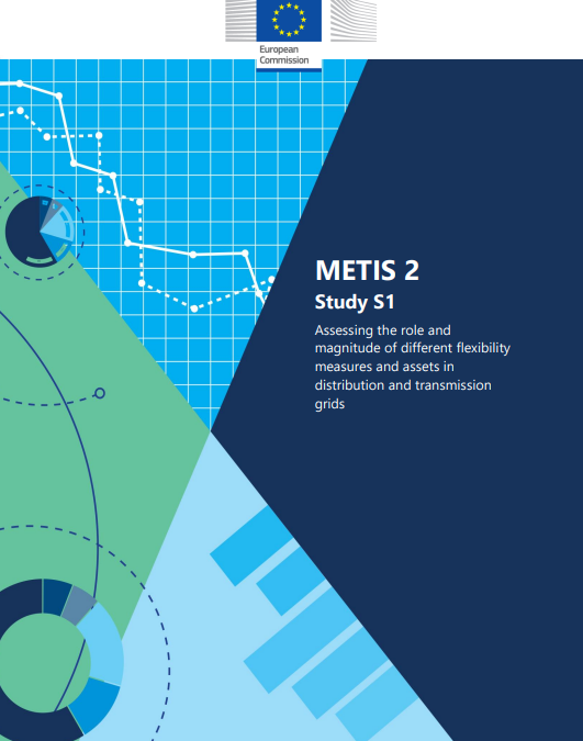 METIS 2 – Study S1 : Assessing the role and magnitude of different flexibility measures and assets in distribution and transmission grids